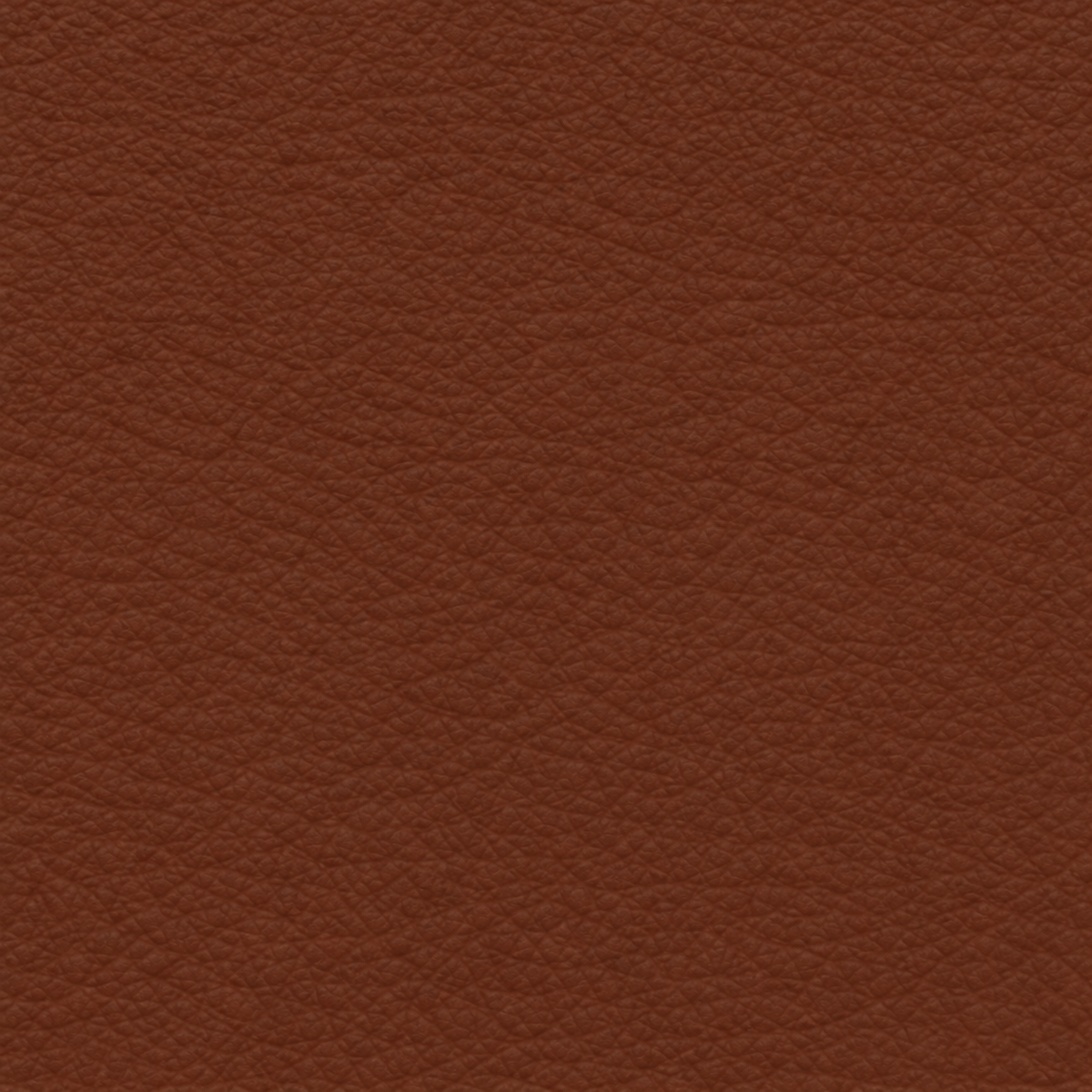 Semi-Aniline