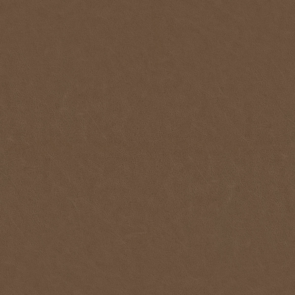 Dunes