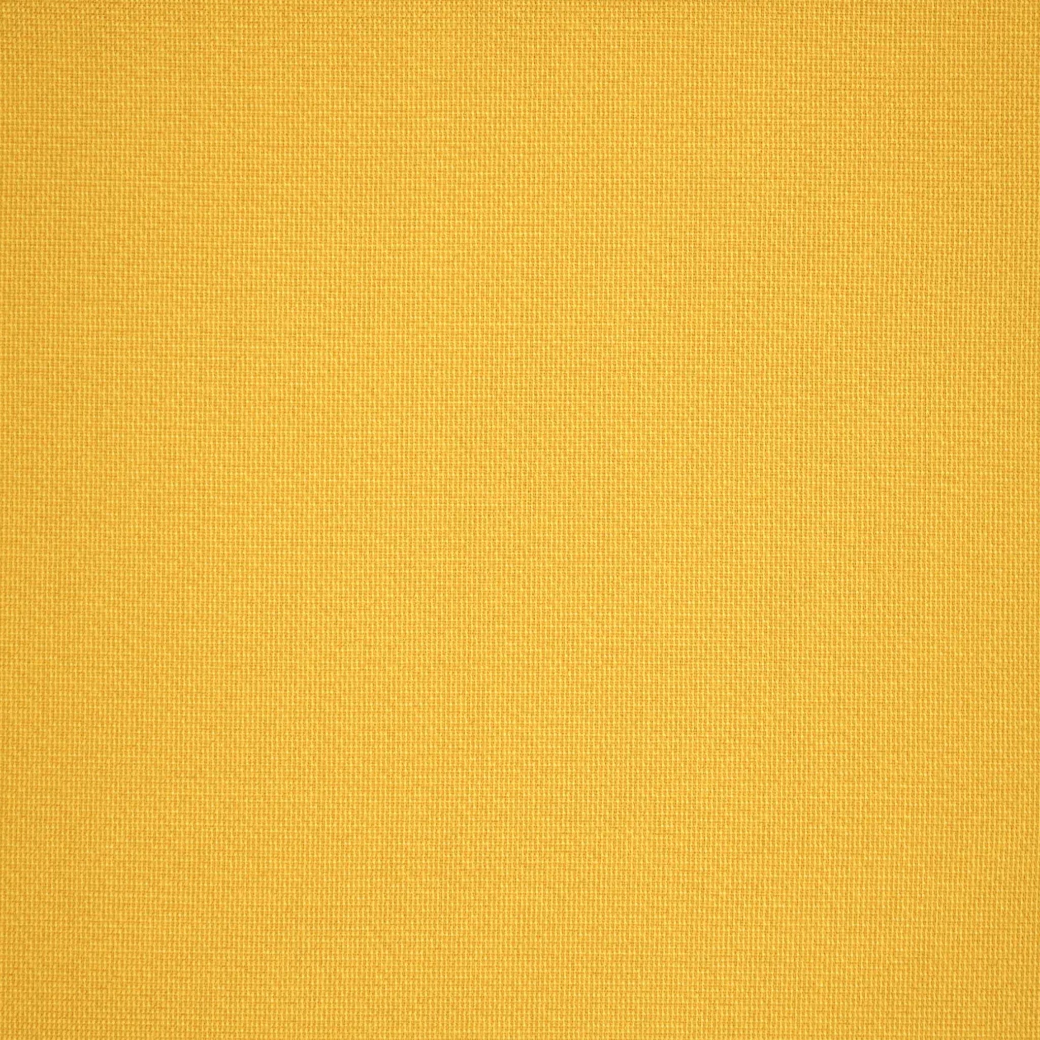 Ecoline Three 2550