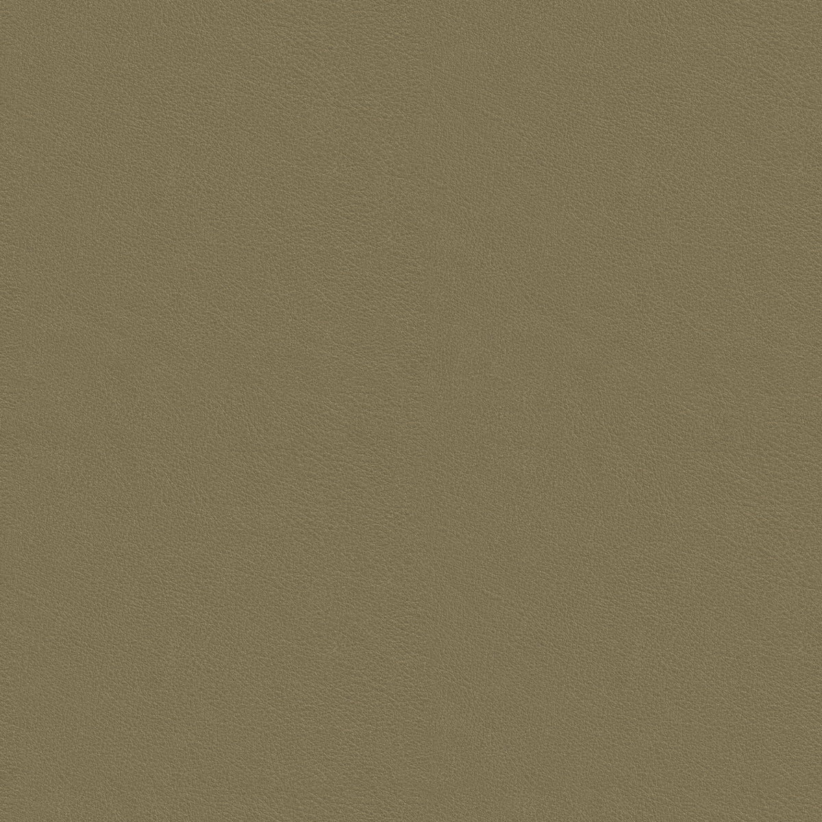 Terra